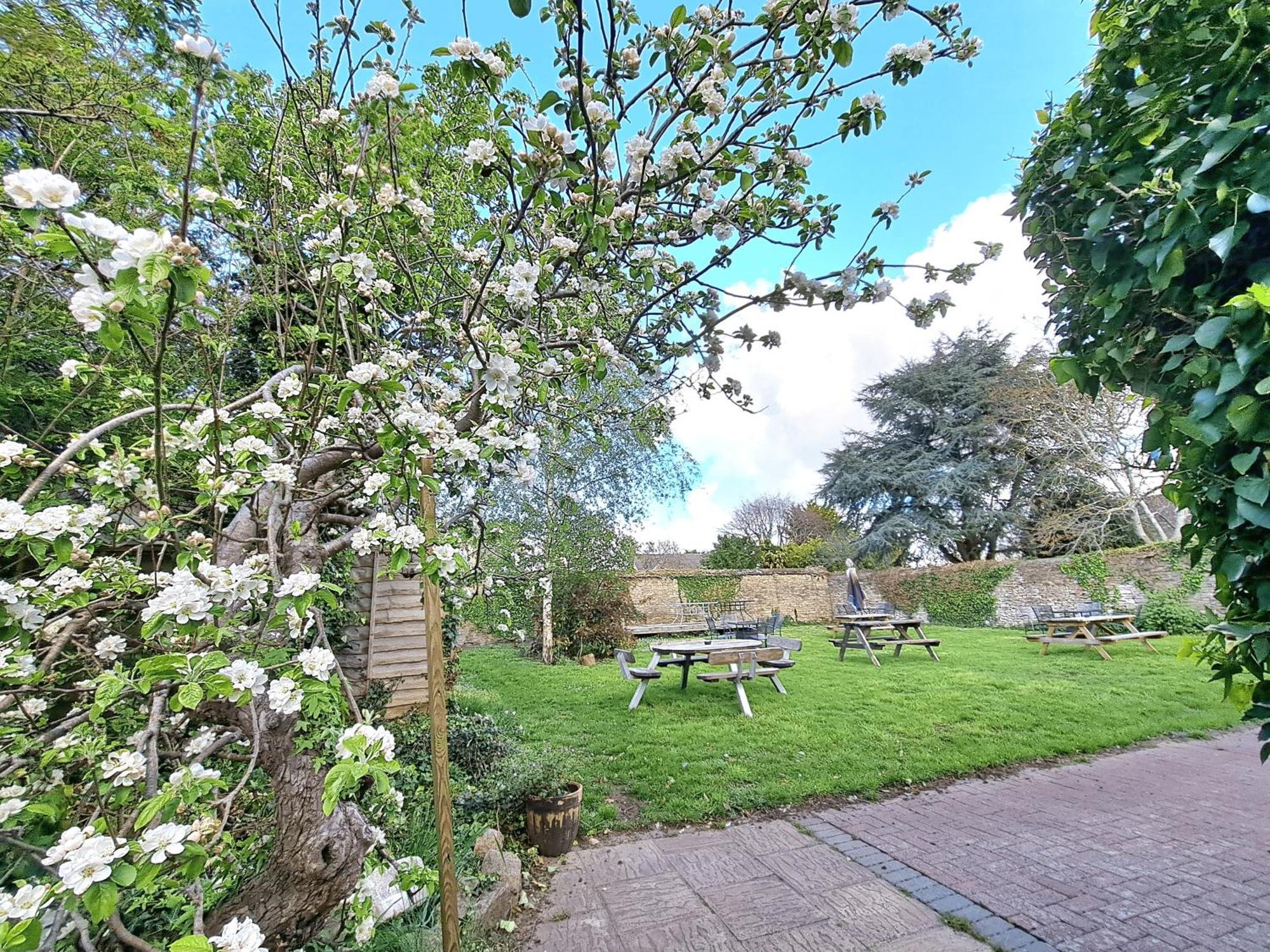 The White Hart Bed & Breakfast Eynsham Exterior photo